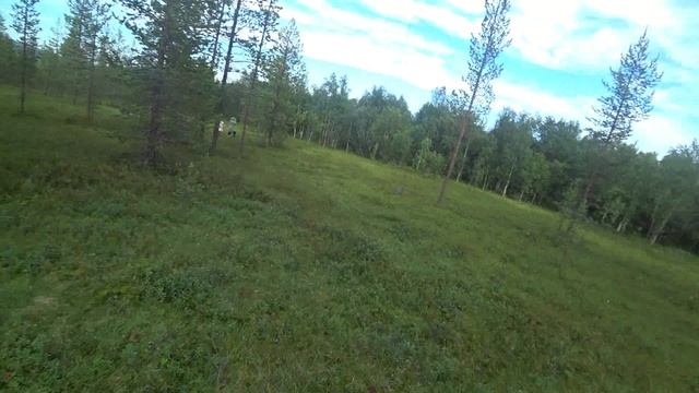 прогулка за грибами в Мурманске июль 2022