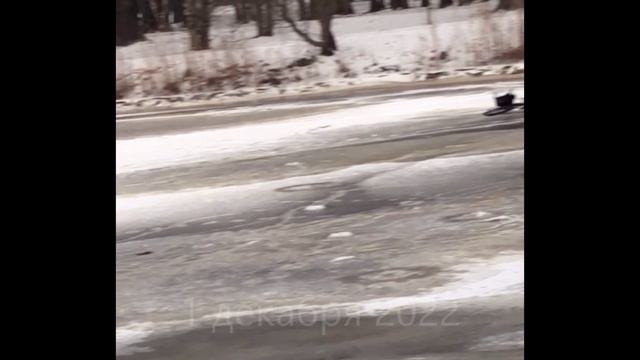1.12.22 Сестрорецк первая рыбалка.