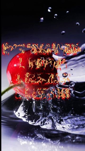 Тест насколько хорошо ты знаешь Котов-Воителей