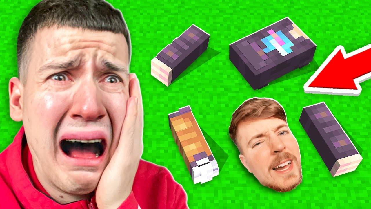 😭 ВОТ, Что Случилось с МИСТЕРОМ БИСТОМ на САМОМ ДЕЛЕ в Майнкрафт ! ВЛАДУС