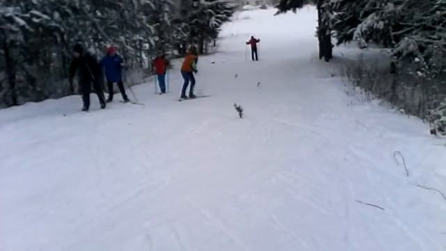 Спуск с горы с припятствиями.