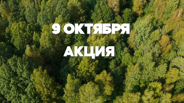 Акция Чистый лес 9 октября 2021