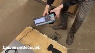 Масса-К ТВ-M-RP1 | Весы с печатью