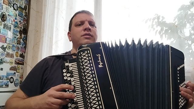 Розовые розы