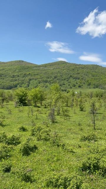 Адыгея, ст. Даховская, Дегуакская поляна.