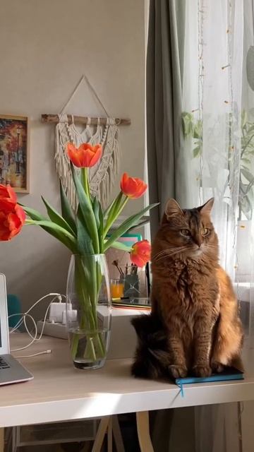 На свой счёт нужно принимать только деньги 💸