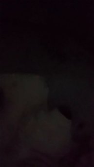 1000004279.mp4