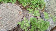 На ул. Отрадная 60 с торца дома со стороны Детского садика №233 "Берёзка",