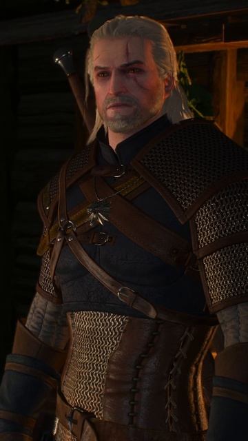 Капитан Петер Саар Х... Ведьмак 3 : Дикая Охота #shorts  #thewitcher  #ведьмак #gameplay #gaming