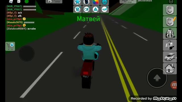 Показываю баги а брукхейвен