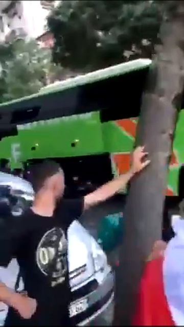 Бабуины потрошат автобус в Италии.
 https://t.me/novostinanta