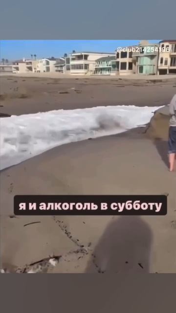 Новая волна в субботу
