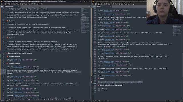 Имитационное моделирование. ЛР№14. Презентация