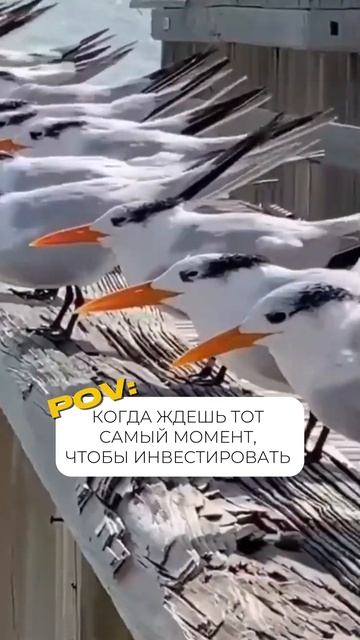 Когда лучше всего инвестировать?  #инвестиции #недвижи