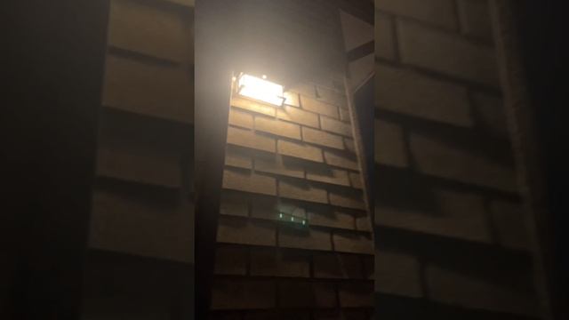 Энциклопедия забытых рецептов