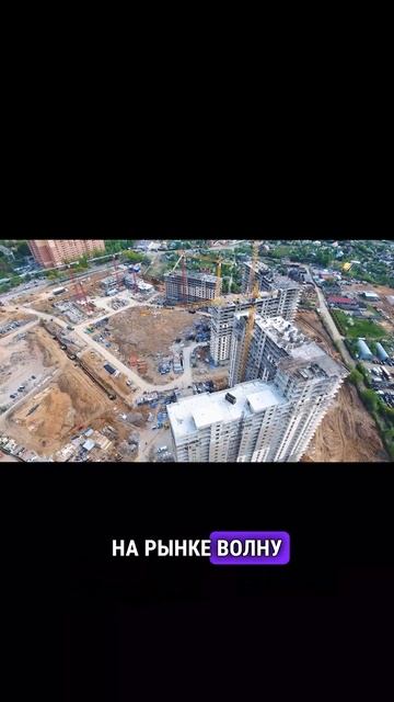 Аренда недвижимости и банкротство застройщиков в 2025  #