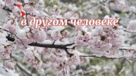 Цитаты о любви