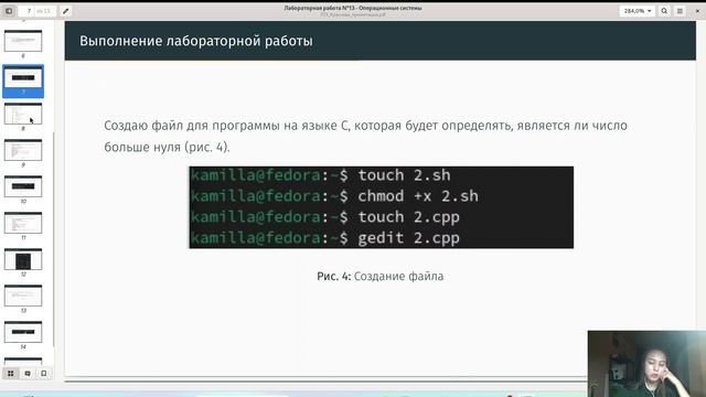 Защита лабораторной работы №13