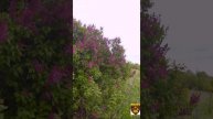 1000011161.mp4