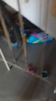 Киска Маруська❤️