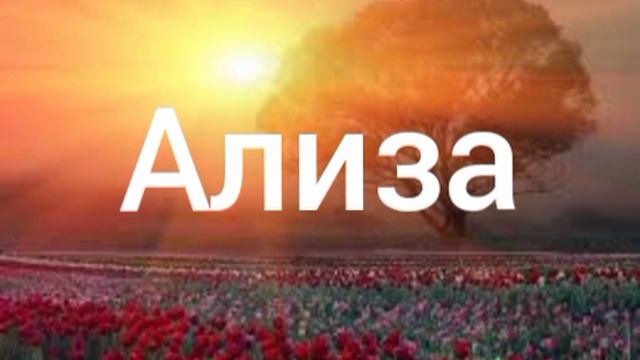 Ализа. Иду сквозь дождь. Барды