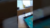 1000180231.mp4