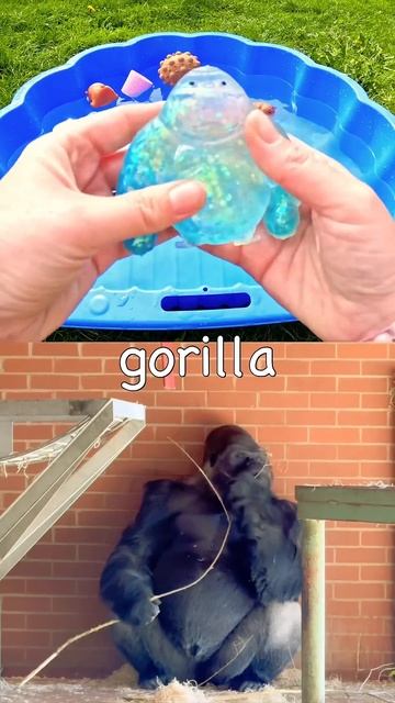 Дети учат английский названия животных для детей дошкольного возраста: Лось, Собака, Горилла