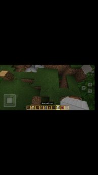 1000004954.mp4