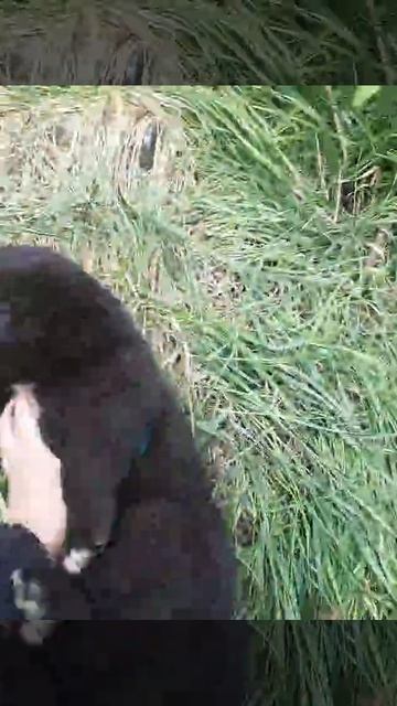 VID-20250510-WA0006