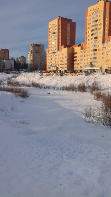 VID_20210202_154123