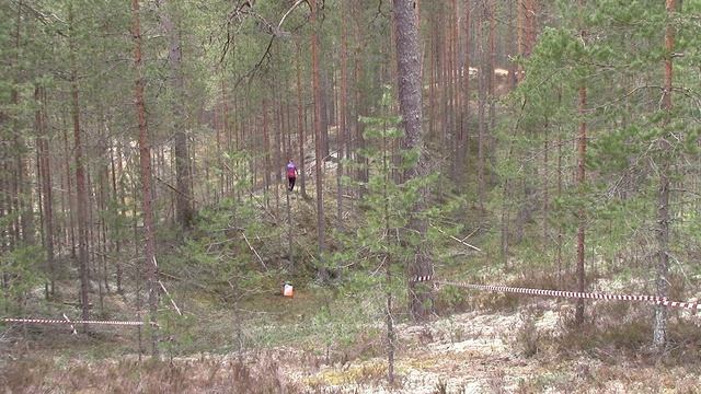Змей Горыныч 2025 последний КП 2197