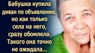 Бабушка купила диван по объявлению, такого она точно не ожидала…
