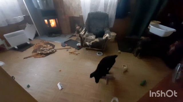Очередной акт вандализма!