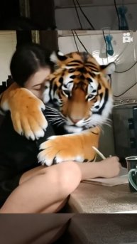 1000006850.mp4
