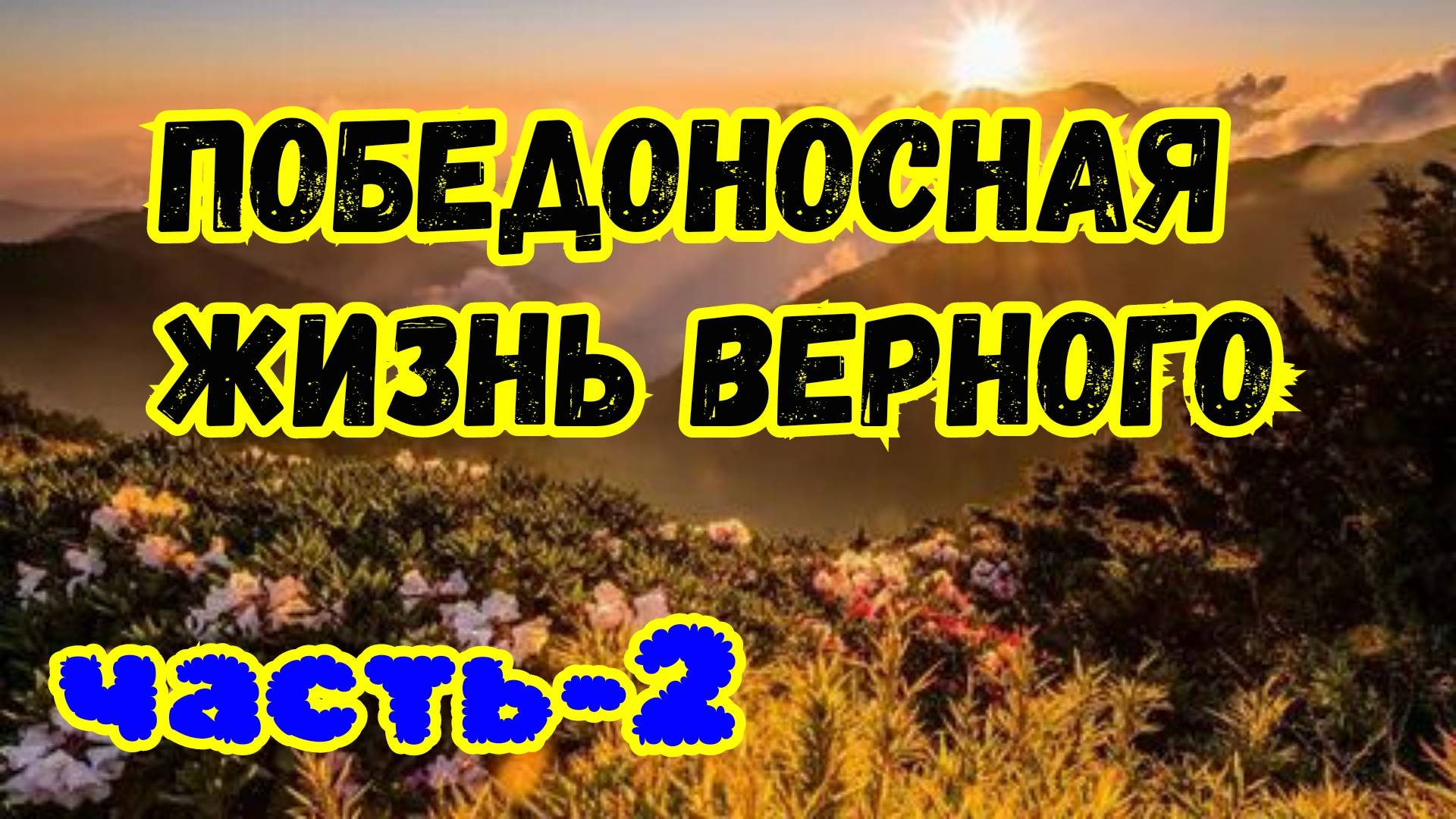 Победоносная жизнь Верного. часть-2. 10.05.25г.