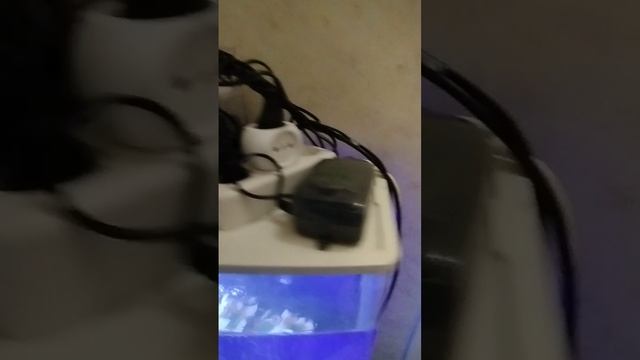 aquarium video_2025-05-10_16-11-00