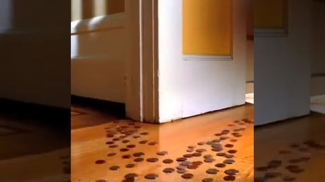 Посмотри и у тебя поднимется настроение👌😄😄😄