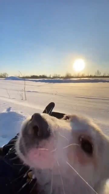 В деревенском стиле жизни есть душа❤️, согласны?)