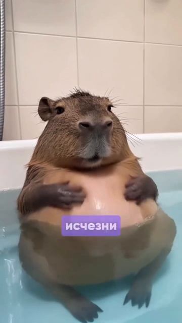 А вы верите в действие аффирмаций? В Clean Clinic мы предлагаем реальные и эффективные способы
