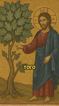 "Смоковница без плодов — образ бесплодной души 🍂☦️"