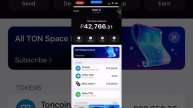 Разница между TON Space и TON Wallet кошельками