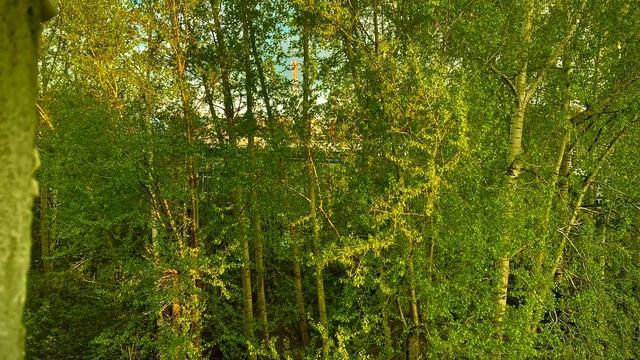 10-05-2025 А за окном бушует май….🌿🌿🌿