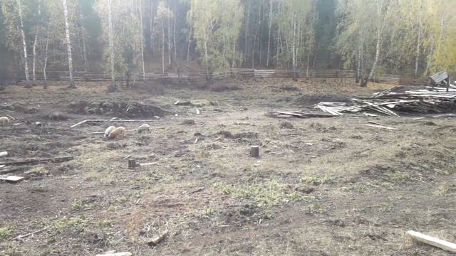 Стройка сарая... ч.1