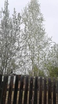 деревня