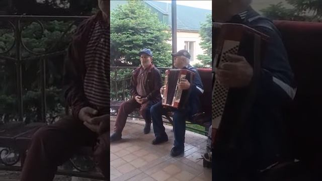 Магомедтамир Синдиков 2025