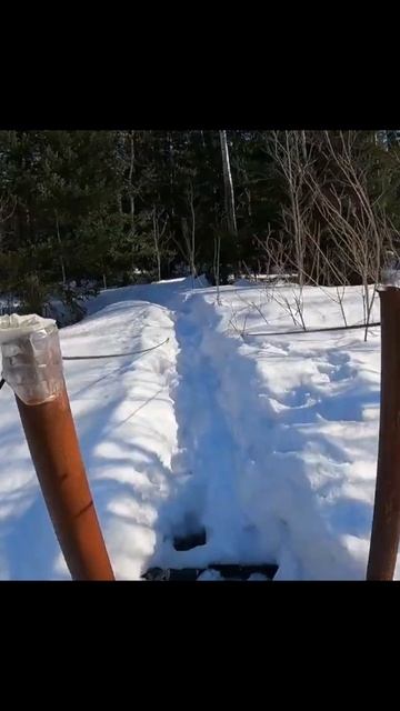 Челлендж без зрителей.
