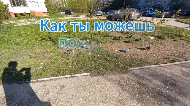 Не откладывайте на потом