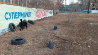 Тайсон продолжение