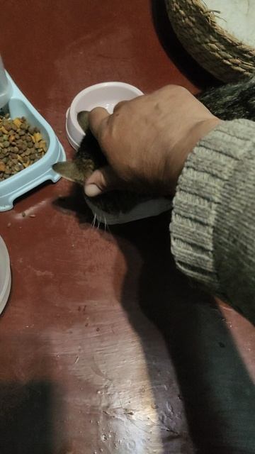 Сам был молодым, и понимаю, что Ганса не переубедить, но сегодня ночью его не отпущу.