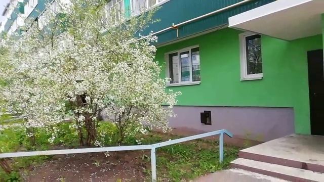 Яблоня встречает цветом